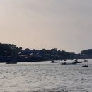 [2년 전 오늘] 경기둘레길 안산 50코스(대남초교~흥선리선착장)-해당화 곱게 핀 바닷가에서 노랑부리...