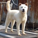 건영축산 이미지