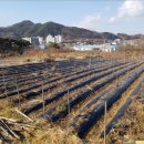 무주읍010 이미지