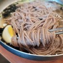 봉평고향막국수 이미지