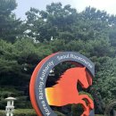 최상식 | 렛츠런파크 서울 과천 경마 경기 관람 리얼 후기! (feat, 초심자의 행운)