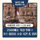 나비훨훨지역아동센터 | 필리핀 보홀 육상투어｜바클레욘 성당·나비농장 리얼 후기 + 현지 기사님 꿀팁