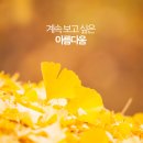 LK성형외과의원 이미지