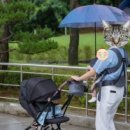 청목전자 이미지