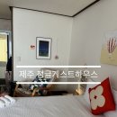 정글 게스트하우스 | 제주 애월 숙소 추천, 조용한 1인실 정글게스트하우스 후기