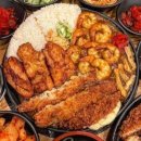 아비꼬용인