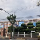 홍일분식 | 내돈내산 목포 '번개분식' 후기(feat. 가성비찢, 맛찢, 사장님 감사합니다)