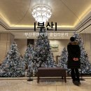 GV80 프리빌리지 부산 롯데호텔 트레비 클럽 숙박 후기 부산 여행