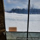 오송이화약국 이미지