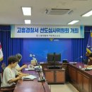 선도 노컷뉴스