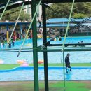 포도밭 옆 펜션 이미지