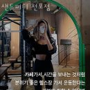 샌드피티 이미지