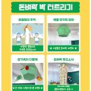 부모님 생일 이벤트 칠순잔치 돈벼락 용돈 박터트리기 내돈내산후기