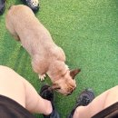 십원당&타래커피 양주점