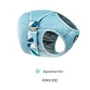 아스터랩 | [후르타 쿨링랩] 강아지 열사병 예방 - 여름 쿨티 추천, 사이즈 꿀팁, 실착 솔직 후기