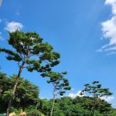 후평숲속유치원 이미지