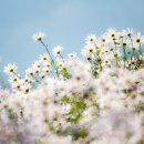 청포농장 이미지