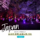 [주말]보테니컬 아트 | 팀랩 보태니컬 가든 오사카 입장권 미디어아트