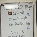 언니네 헬스장 이미지