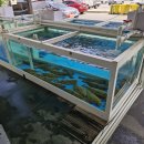 사천항주문진물회 이미지