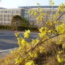 오륙도중학교 이미지