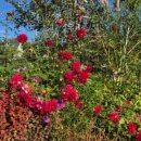 한근농장 이미지