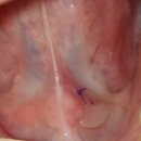 이노스이비인후과병원 이미지