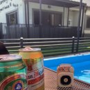 동이애견 이미지