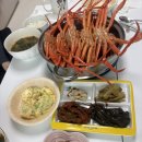 애니브리즈 | 26년 3월 일상 모음