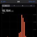 원주굽이길 원7코스 반계리은행나무길 이미지