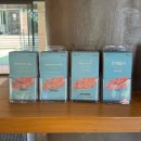 제주 서귀포 가성비호텔 서귀포 애견동반숙소 헤이, 서귀포 내돈내산 재방문 후기