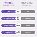 비쓰리에너지 이미지