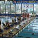대학나무 | [포항 다원복합센터 수영장]제31회 전국대학수영선수권대회 후기