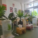 유리컴퓨터세탁소 이미지