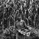 순박산골 이미지