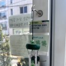 멍이올래 이미지