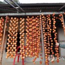 강릉로컬푸드사업단