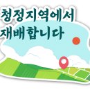 미래향 이미지
