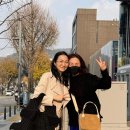 김미숙 카카오 검색결과