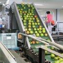 춘천농협 산지유통센터 이미지