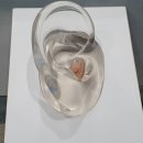 스탠다드보청기 의정부센터 이미지