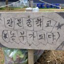 광문중학교 이미지