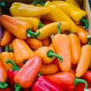 시온농장 이미지