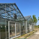 평택시 농업생태원1 이미지