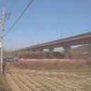 원평육교 - 정선군 | 원평육교