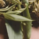 청주퍼스트 치과의원 이미지