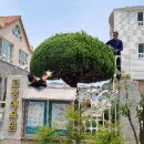 고성정비 이미지