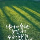 물댄동산 이미지