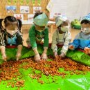 노엘어린이집 이미지