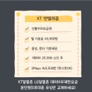 선불폰알뜰폰선불유심 네이버블로그